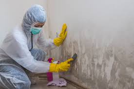 Best Mold Remediation for Healthcare Facilities  in Lockwood, MT